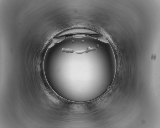 X0000091220106200708091417