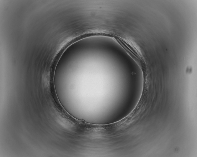 X0000091220108200708091417