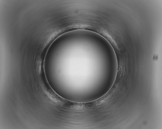 X0000091220110200708091417