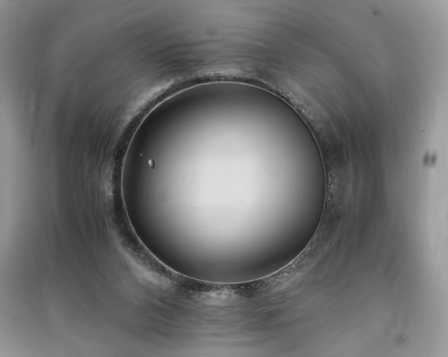 X0000091220112200708091417