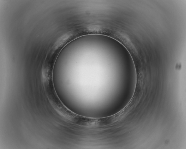 X0000091220116200708091417