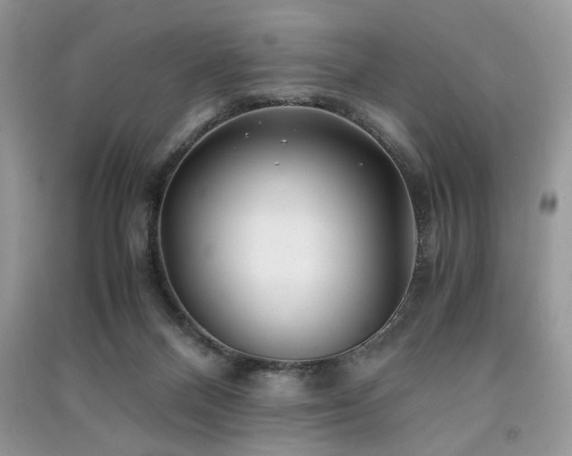 X0000091220120200708091417