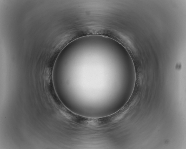 X0000091220121200708091417