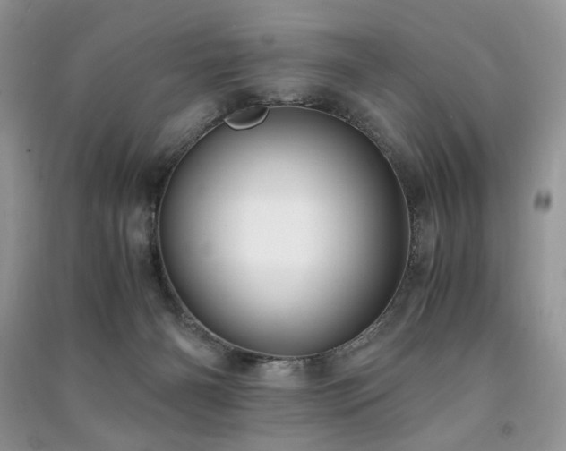 X0000091220126200708091417