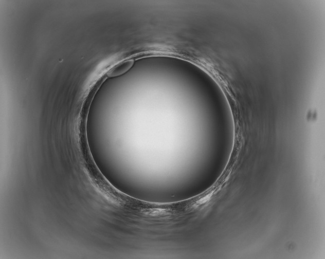 X0000091220151200708091416