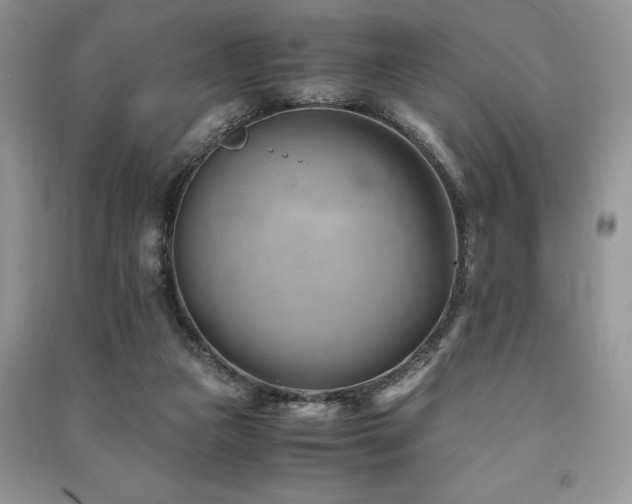 X0000091220161200708091416