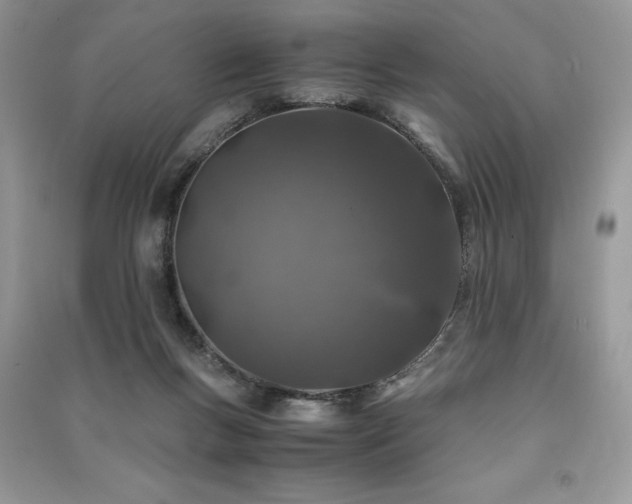 X0000091220167200708091416