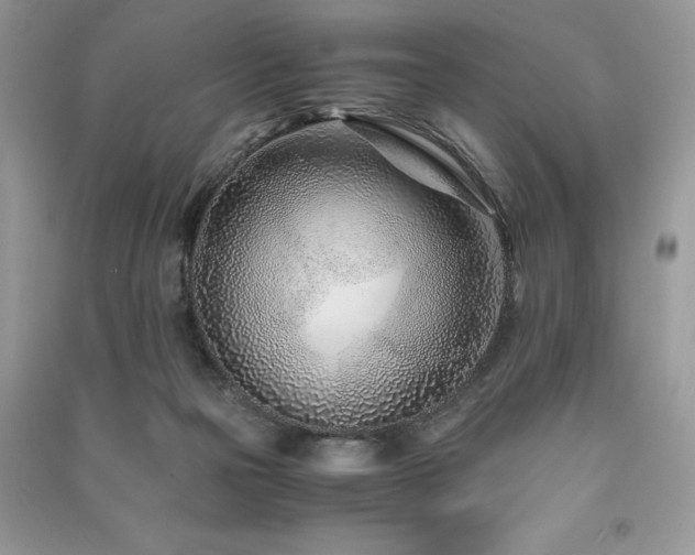 X0000091220169200708091416