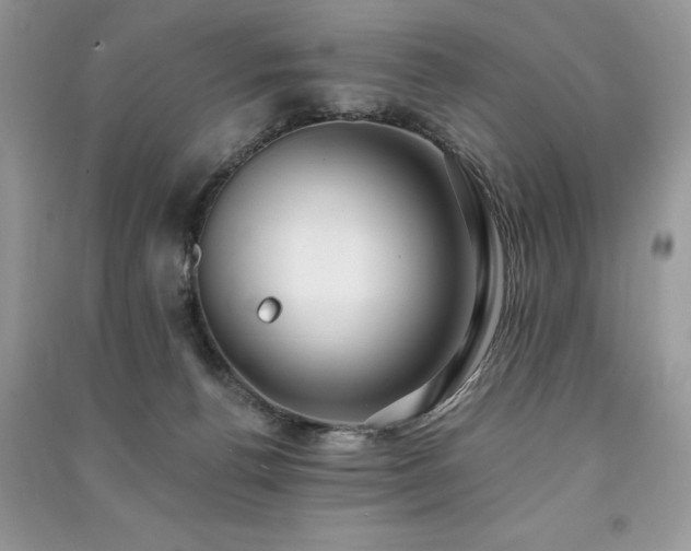 X0000091220176200708091416