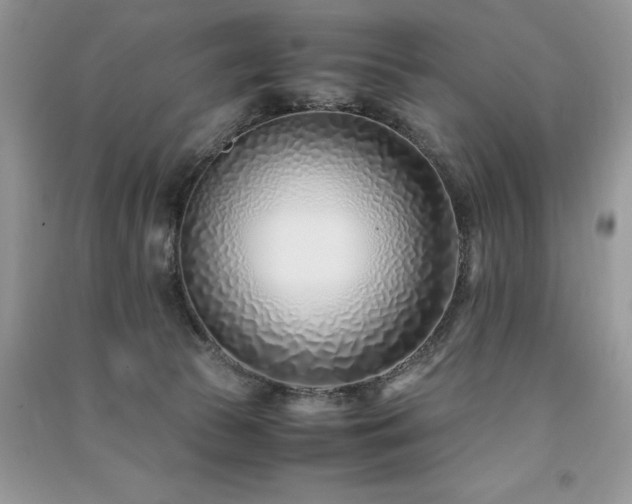 X0000091220177200708091416