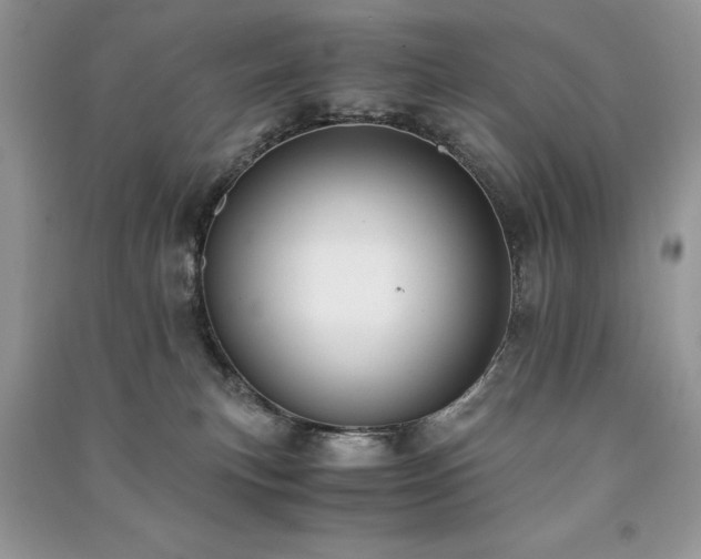 X0000091220183200708091416