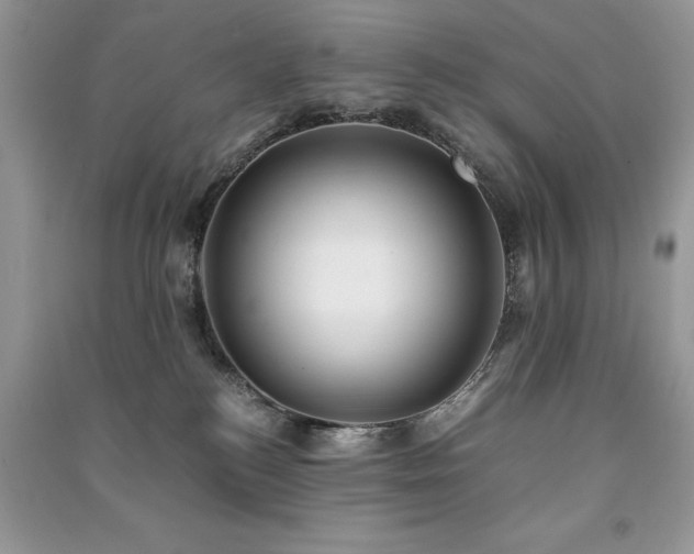 X0000091220184200708091416