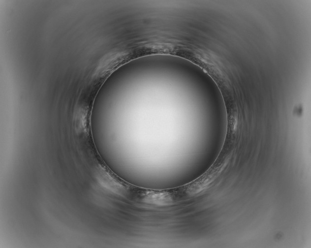 X0000091220185200708091416