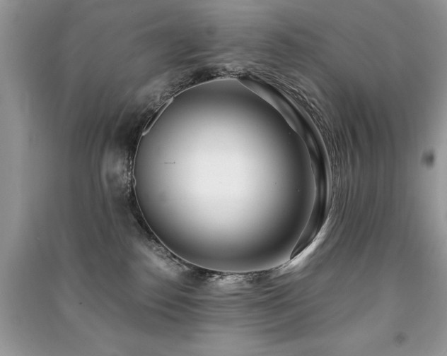 X0000091220186200708091416