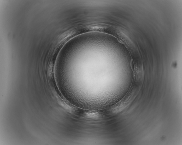 X0000091220189200708091416