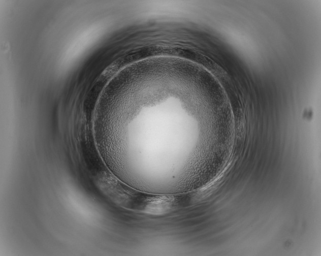 X0000091220191200708091416