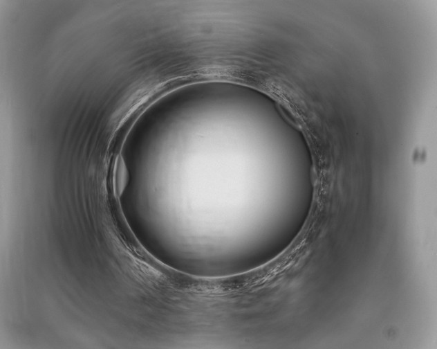 X0000091220194200708091416