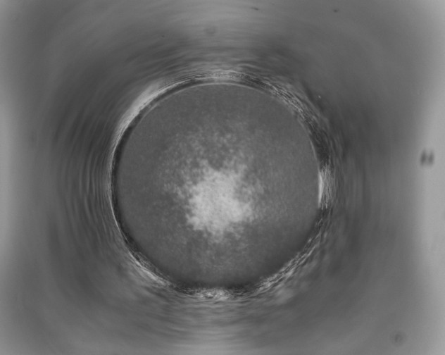 X0000091220195200708091416