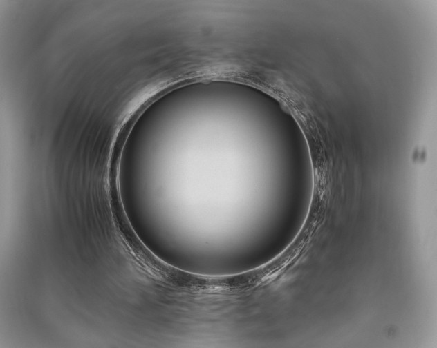 X0000091220196200708091416