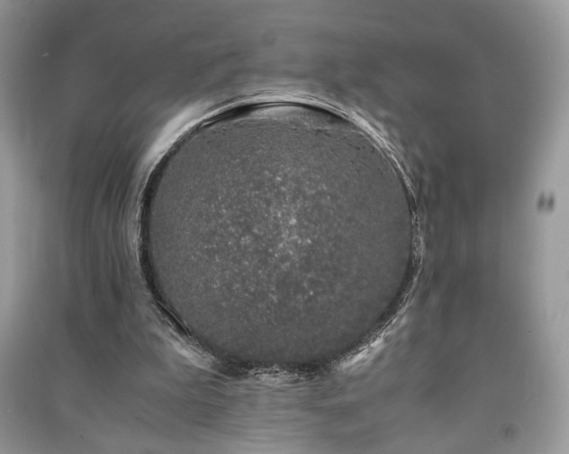 X0000091220199200708091416