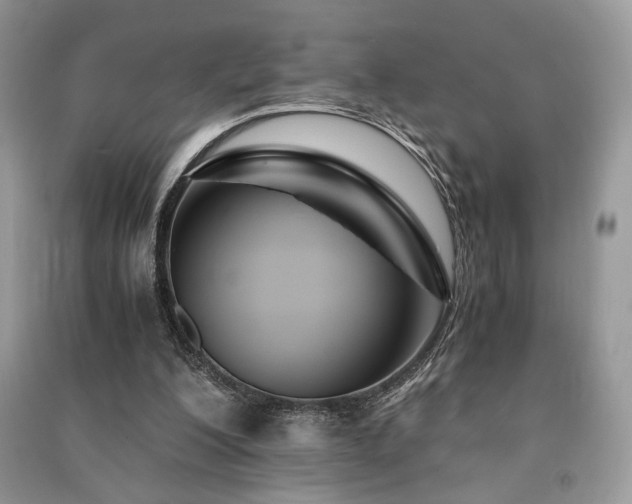 X0000091220200200708091416