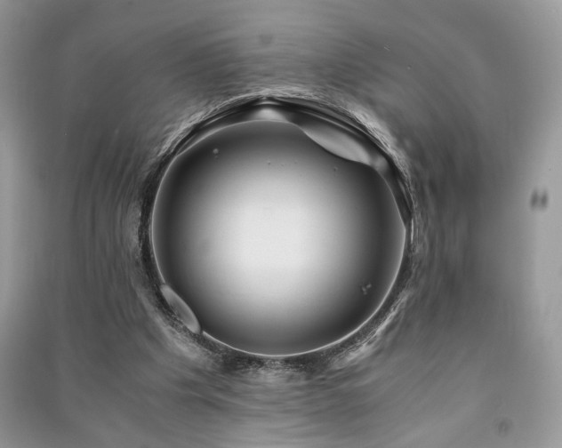 X0000091220201200708091416