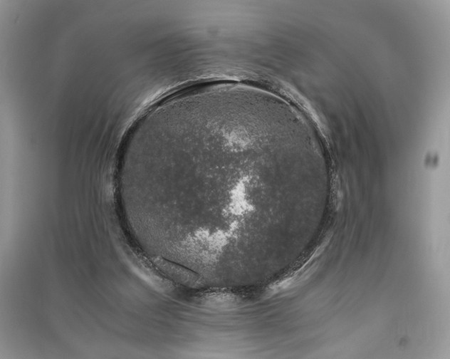 X0000091220203200708091416