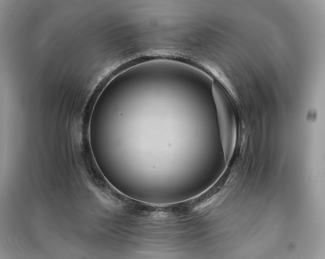 X0000091220204200708091416