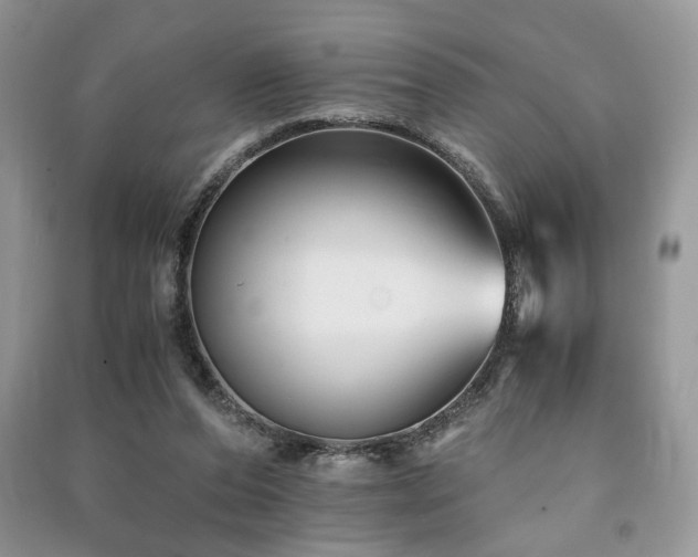 X0000091220208200708091416