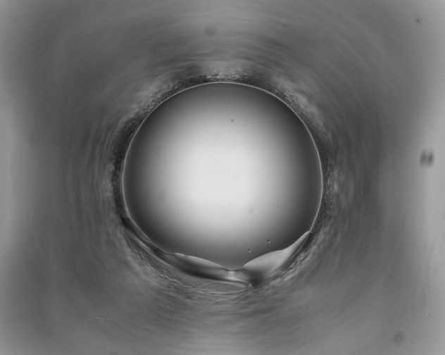 X0000091220209200708091416