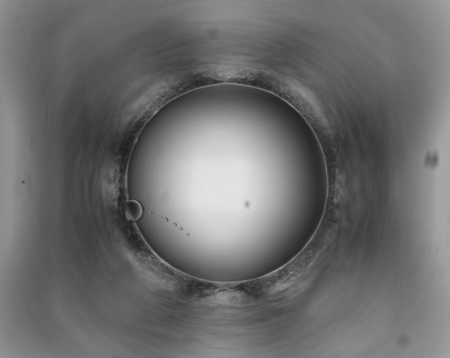 X0000091220210200708091415