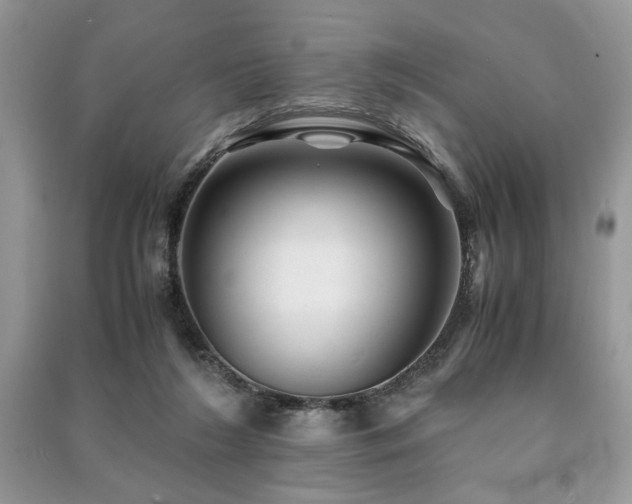 X0000091220212200708091415