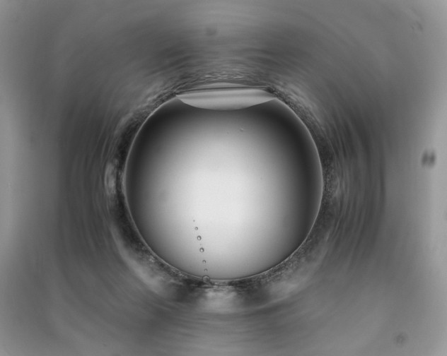 X0000091220214200708091415