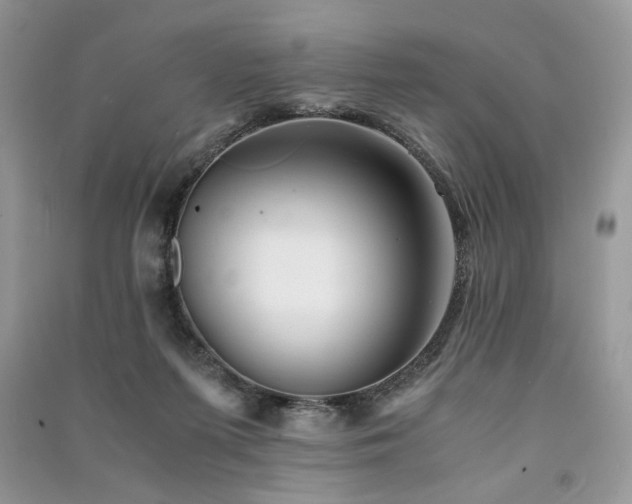 X0000091220215200708091415