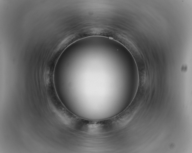 X0000091220216200708091415