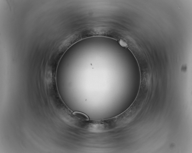 X0000091220220200708091415