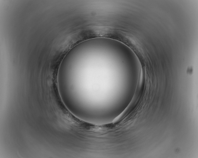 X0000091220221200708091415