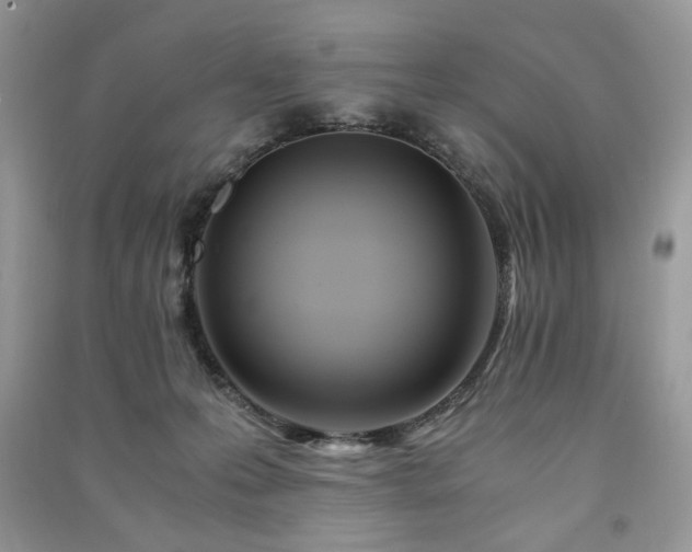 X0000091220223200708091415