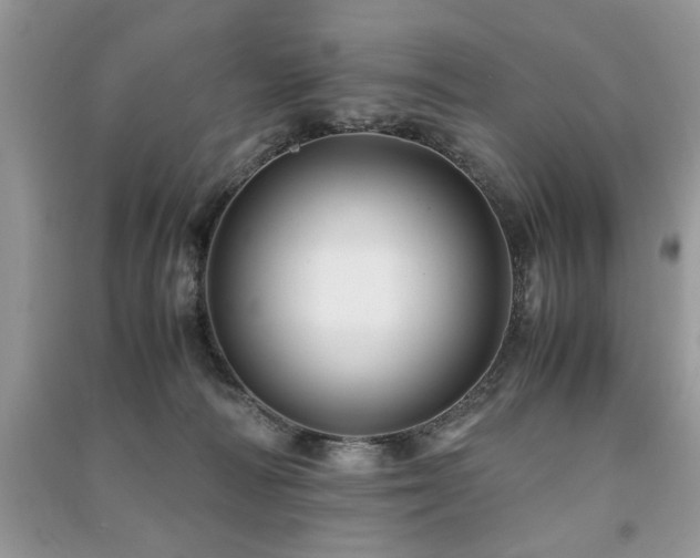 X0000091220226200708091415