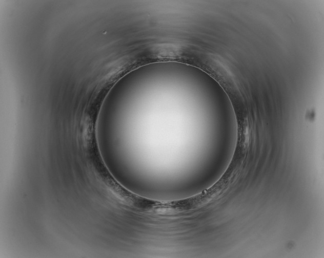 X0000091220228200708091415