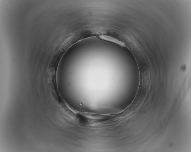 X0000091220229200708091415