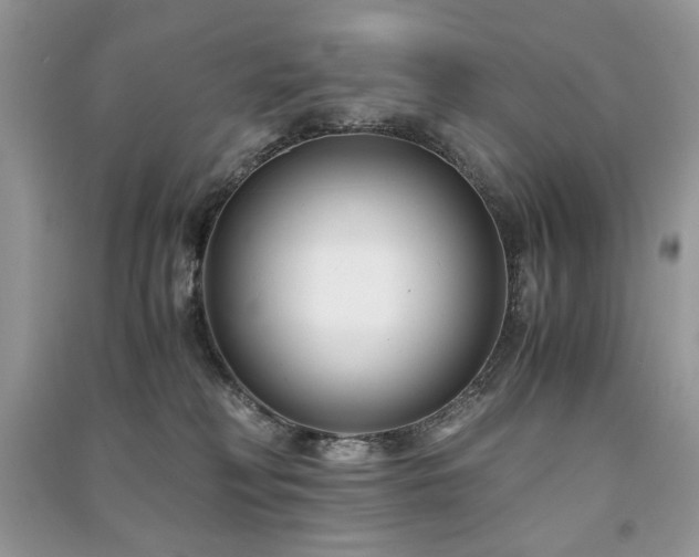 X0000091220230200708091415