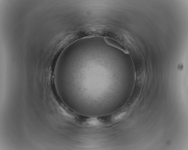 X0000091220231200708091415