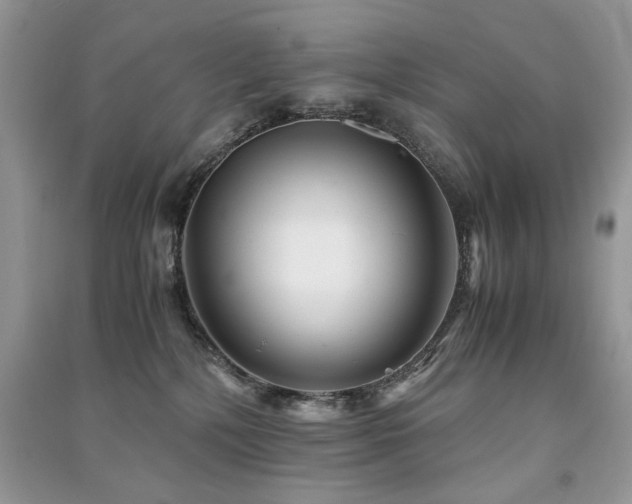 X0000091220232200708091415