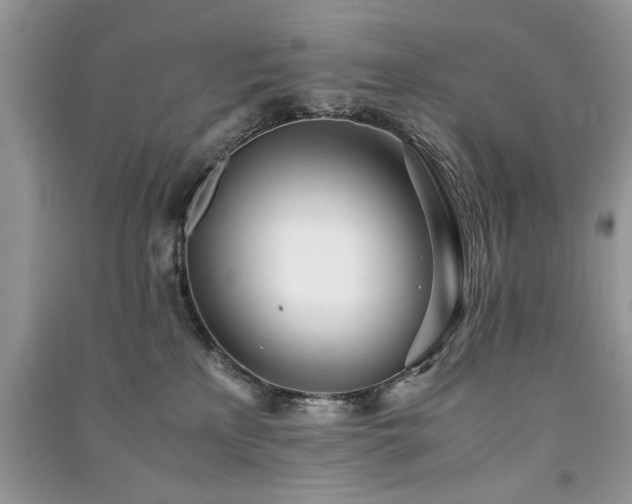 X0000091220233200708091415