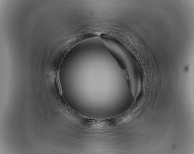 X0000091220235200708091415