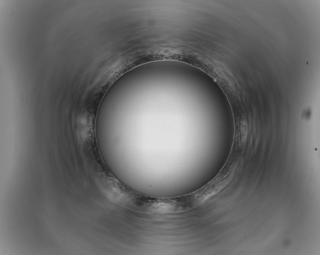 X0000091220236200708091415