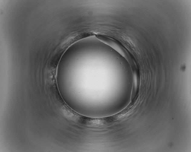 X0000091220237200708091415