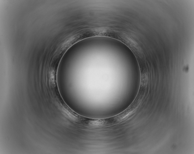 X0000091220238200708091415