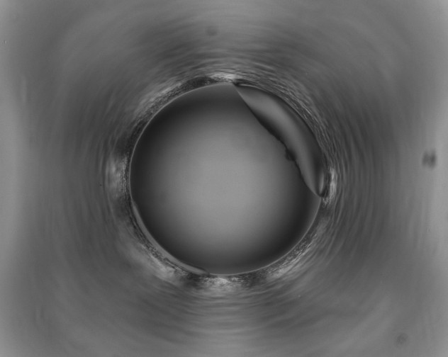 X0000091220239200708091415